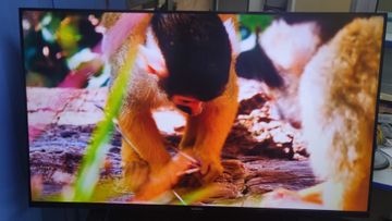 Б/в Телевізор Xiaomi mi tv a2 43 01-200853471