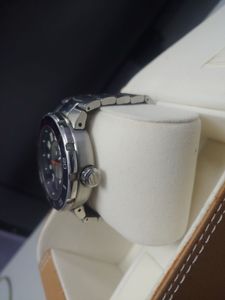 01-200739679: Philip Stein 34tf000484