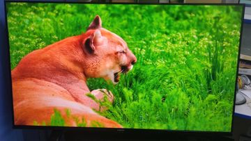 Б/в Телевізор Xiaomi mi tv a2 43 01-200853471