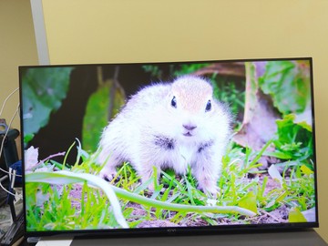 Б/в Телевізор Kivi 43'' uhd prime e5 qled 01-201067778