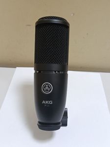 01-200573028: Akg p120