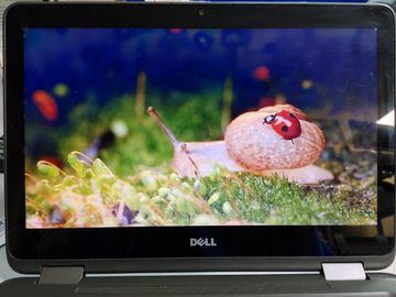 Б/в Ноутбук Dell 11/pentium n3710 ddr3/4gb ddr3/ssd 128 gb/*інтегрована 01-200830062