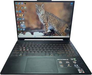 Asus 16/ryzen 7 7445hs ddr5/16gb ddr5/hdd *відсутній/ssd 512 gb/geforce rtx4050 6gb