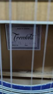 Б/в Акустична гітара Trembita jcg-40 01-200894011