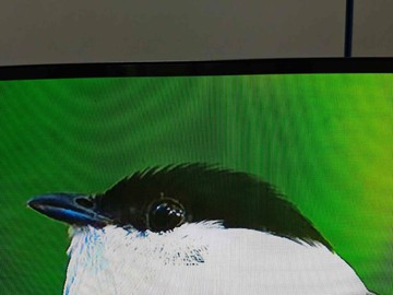 Б/в Телевізор Hisense 32a5710fa 01-200930419