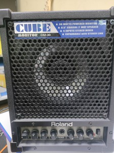 Б/в Акустика Roland cm-30 01-201045833