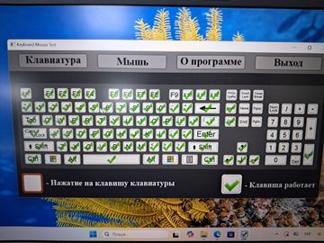 Б/у Ноутбук Dell 14/core i5-1335u ddr5/8gb ddr5/ssd 256 gb/*інтегрована 01-200831142