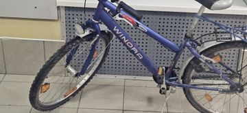 01-200470095: Winora reak