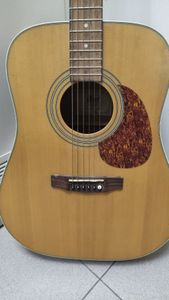 01-200750467: Cort earth 70 ns