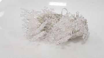 16-000224064: Ayacola x001