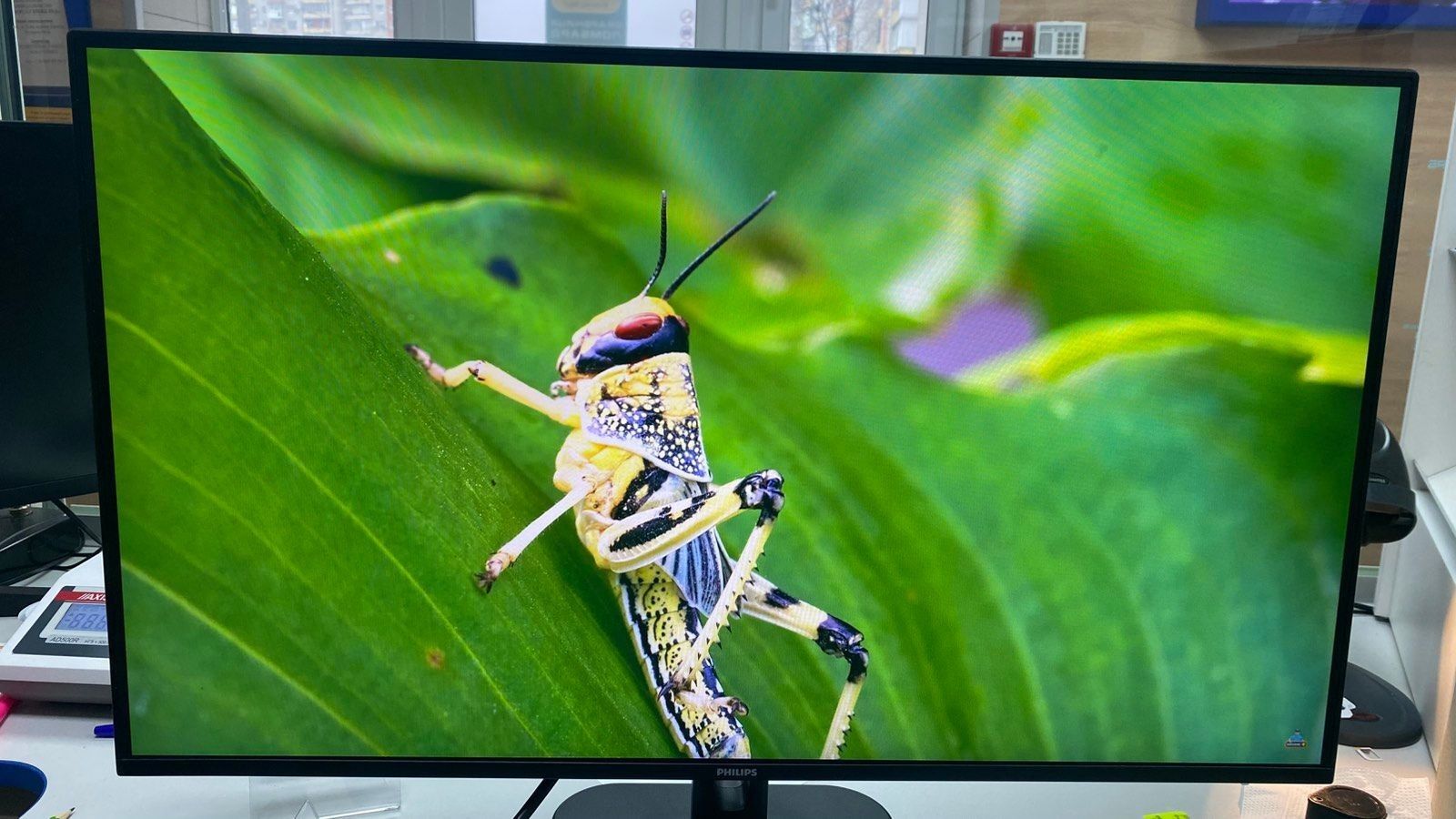 Philips 27e1n1900ae/00