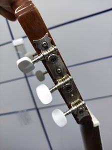 01-200762233: Admira paloma