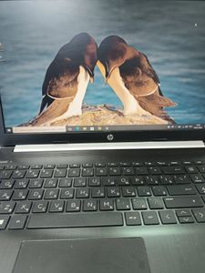 Б/в Ноутбук Hp 15/core i3 7020u ddr3/8gb ddr3/hdd 1000 gb/geforce mx110 2gb 01-200835228