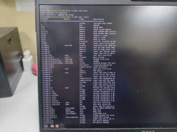 Б/в Ноутбук Dell 14/core i5-10310u ddr4/16gb ddr4/hdd *відсутній/ssd 128 gb/*інтегрована 01-201003346