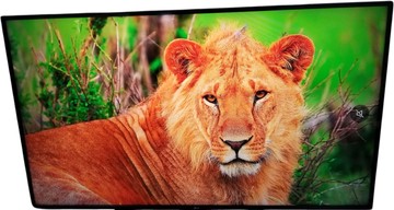 Б/в Телевізор Lg 43ut81006la 01-200972614