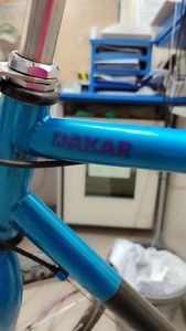 01-200760055: Winora dakar 28"