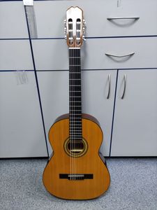 01-200762233: Admira paloma