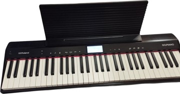 Б/в  Roland Go piano go-61+ fzone.sp1 (педаль) 01-201002411