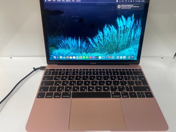 Б/в Ноутбук Apple macbook a1534 12" core m3 1,1ghz/ram 8gb/ssd 512gb/intel hd graphics 515 01-201102921