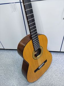 01-200762233: Admira paloma