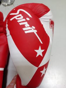 Б/в Боксерські рукавиці Twins spirit 9476 01-200866601