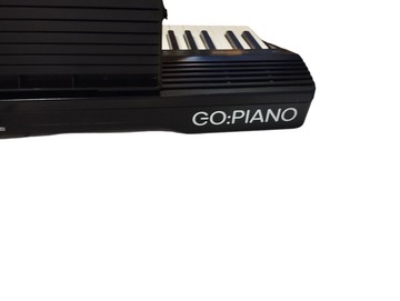 Б/в  Roland Go piano go-61+ fzone.sp1 (педаль) 01-201002411