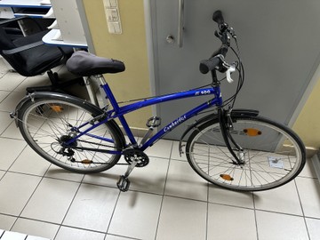 Canbridge 28"