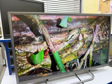 01-200770216: Kivi 32fr50br