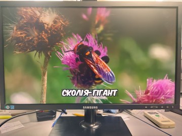Б/в Монітор Samsung ls22c200b 01-201017917