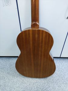 01-200762233: Admira paloma