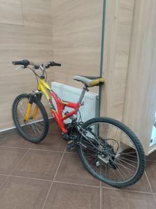 01-200777238: Comanche pony