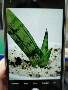 Б/у Мобильный телефон Xiaomi redmi 15c 4g 8/256gb 01-200808645