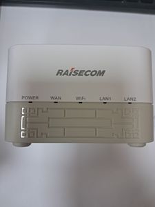 01-200611861: Raisecom dr5254