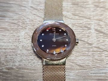 01-19170748: Skagen 456srr1