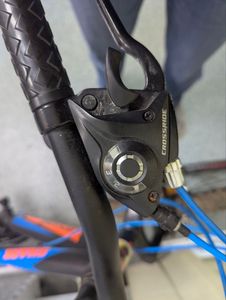 01-200744557: Crossride shark