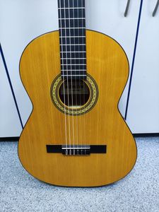 01-200762233: Admira paloma