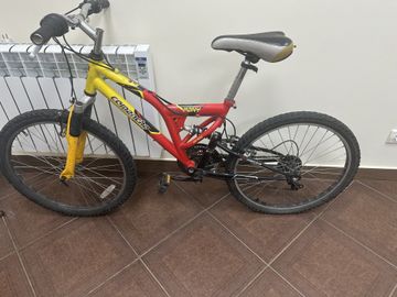 01-200777238: Comanche pony