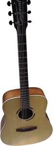 Б/в Акустична гітара Tanglewood ts5 01-200875597