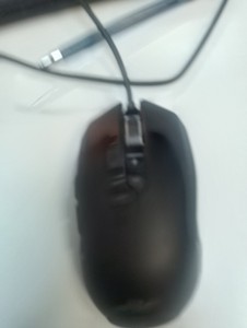 2E mg310