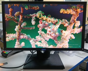 01-200794973: Dell e2216hv