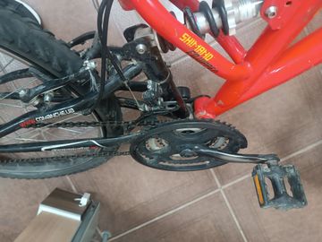 01-200777238: Comanche pony