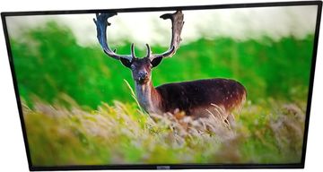 Б/в Телевізор Tcl 43p615 01-200824575