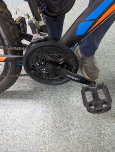 01-200744557: Crossride shark