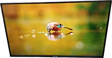 Б/в Телевізор Tcl 43p615 01-200824575