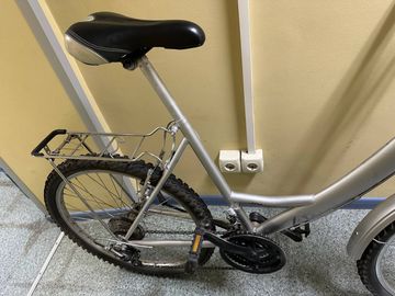 01-200611887: Ardis santana (рама сталь, колеса 24)