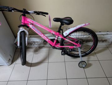 01-200636539: Corso primary 24 рожевий