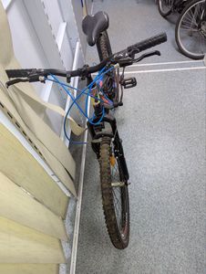 01-200744557: Crossride shark