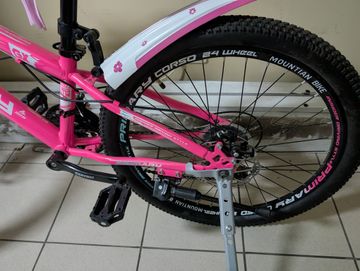 01-200636539: Corso primary 24 рожевий