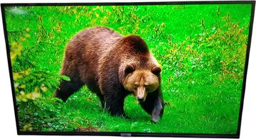 Б/в Телевізор Tcl 43p615 01-200824575