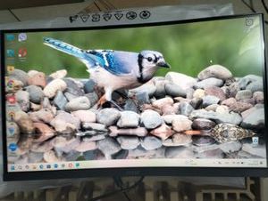 Б/в Монітор Msi g2422c 01-200920284